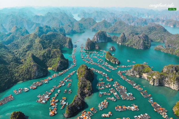 Dự án nghìn tỷ Cái Giá Cát Bà giành giải đặc biệt tại VUPA 2020