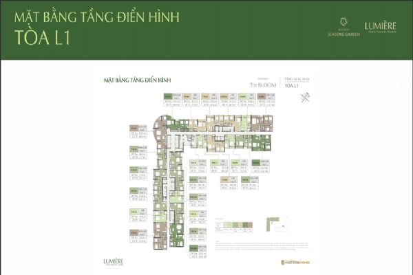 Thiết kế mặt bằng căn hộ dự án Lumiere Hanoi Seasons Garden Nguyễn Trãi