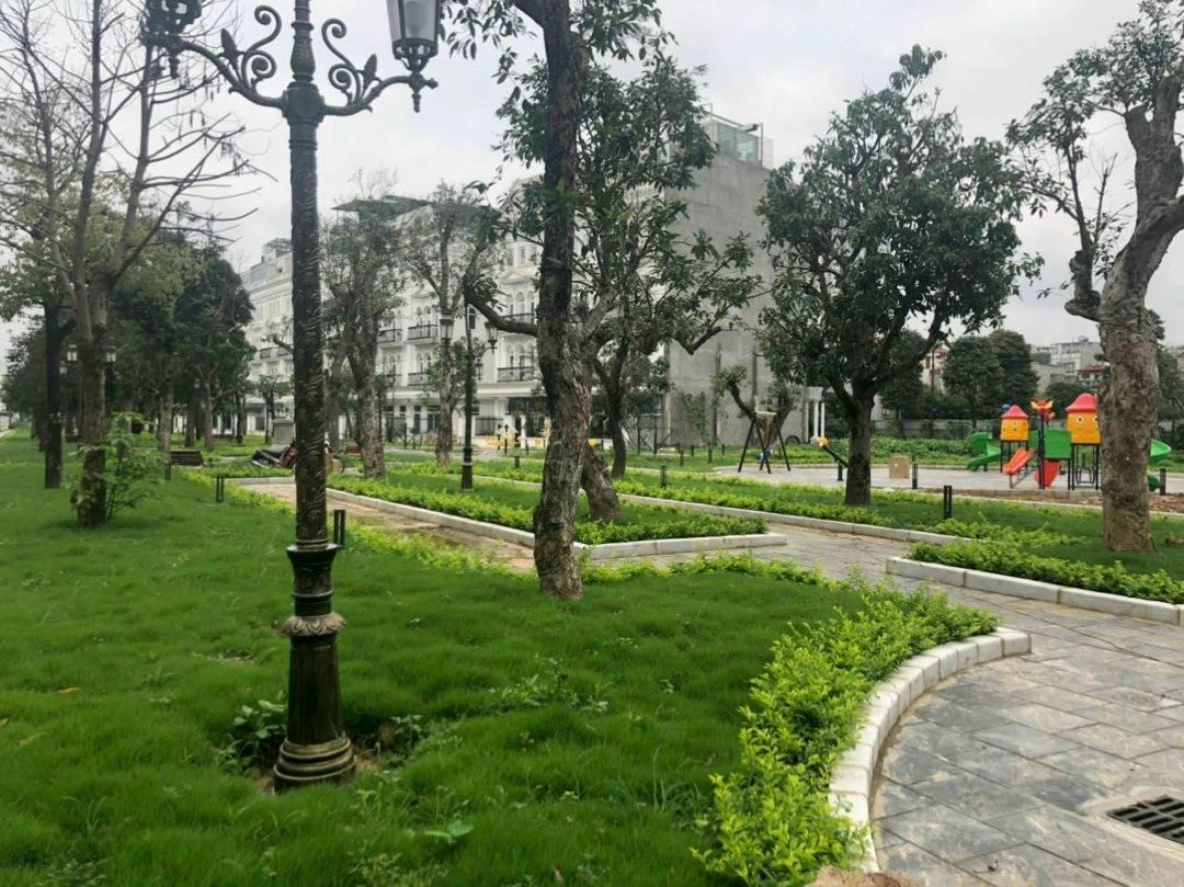Cho thuê nhà liền kề 100m2 có đồ, hướng Đông Nam tại KĐT Louis City Đại Mỗ