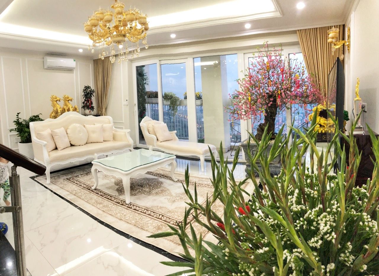 Chính chủ cần bán Penthouse tại Rừng Cọ - Ecopark Văn Giang, nội thất đẹp, giá tốt. LH 0989734734