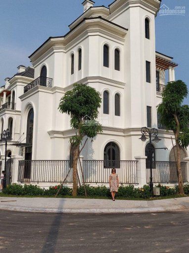 Chính chủ cần bán căn góc biệt thự Ngọc Trai Vinhomes Ocen Park view công viên, DT 316m2, giá tốt