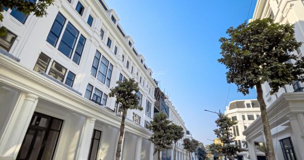 Cho thuê thô shophouse DT 96m2 hướng Đông Bắc tại KĐT Louis City Đại Mỗ