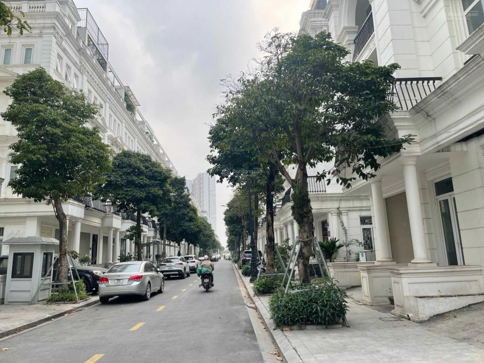 Cho thuê nhà liền kề 80m2, không có nội thất hướng Nam tại KĐT Louis City Đại Mỗ