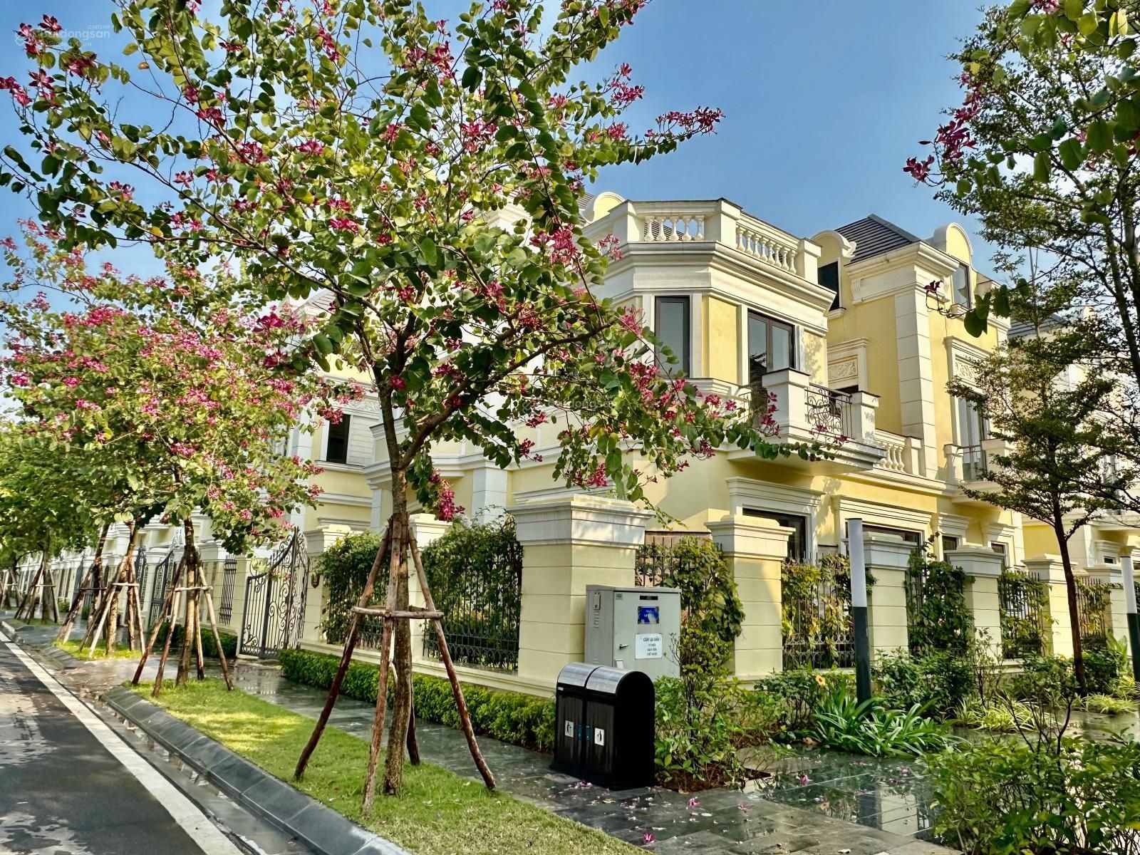 Bán biệt thự đơn lập An Lạc Symphony diện tích 350m2 hướng chính Đông tứ trạch, hoàn thiện đẹp