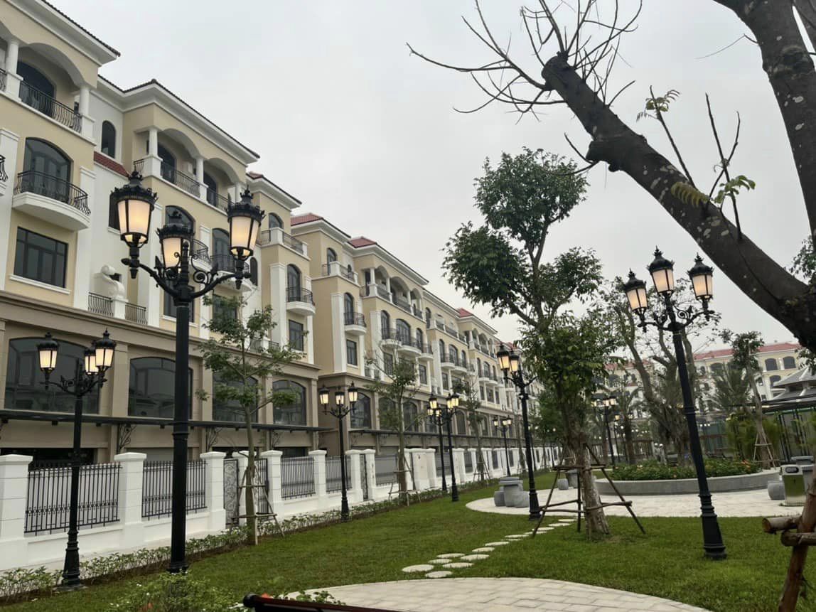 Cần cho thuê biệt thự song lập view công viên trung tâm khu Vịnh Thiên Đường Vinhomes Ocean Park 3