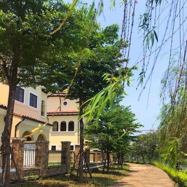 Bán gấp biệt thự đơn lập hướng chính Nam Sudico Nam An Khánh giá VIP, DT: 287m2, có thang máy