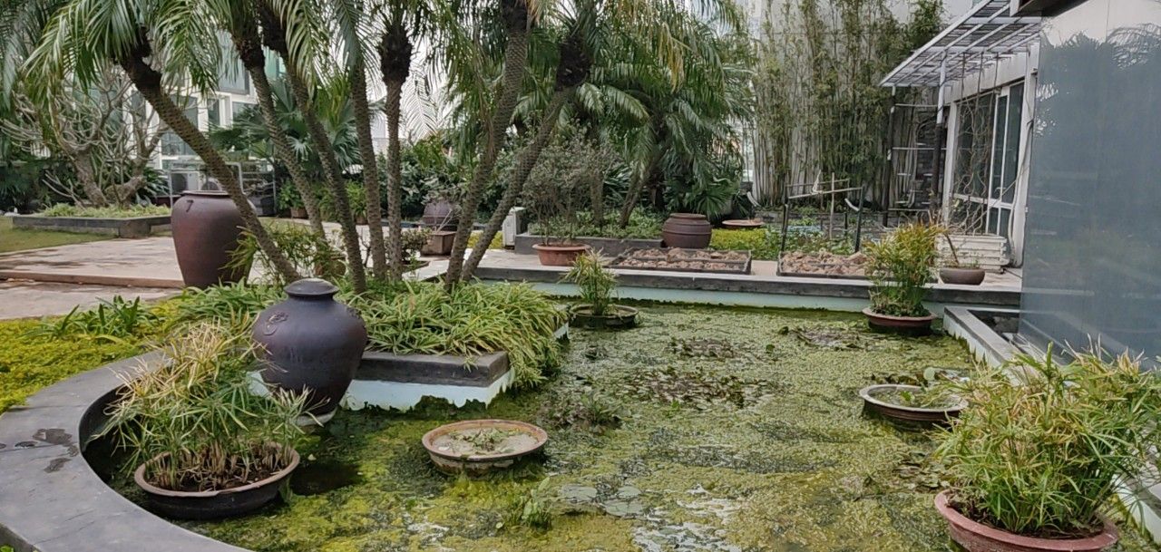 Cho thuê sàn văn phòng kinh doanh Xuân Diệu, DT 1500m2, giá 700 triệu/tháng có thỏa thuận