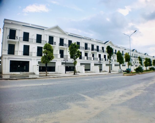 Bán nhanh biệt thự thương mại dịch vụ liền kề gần biển hồ tại khu đô thị vinhomes giá 11,3 tỷ