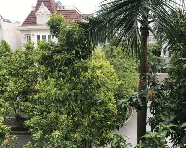 Cần bán gấp biệt thự T1 Ciputra Tây Hồ rộng 200m2/ 5PN hướng Đông Bắc