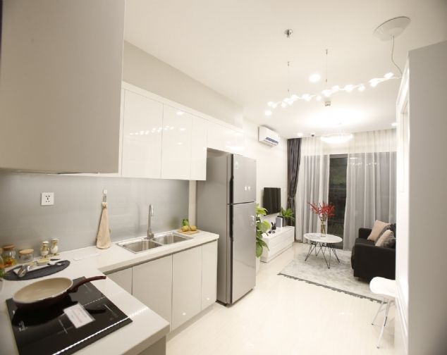 Cần cho thuê căn 2 ngủ, 55 - 65m2, dự án Vinhomes Ocean Park Gia Lâm giá 6tr/tháng
