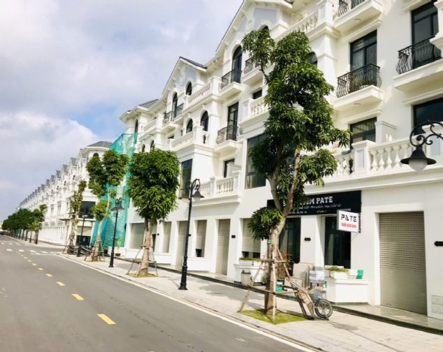 Cặp nhà phố shophouse cần cho thuê tại dự án Vinhomes Ocean Park