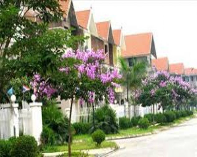 Chính chủ bán biệt thự khu đô thị Quang Minh - Mê Linh,  giá ưu đãi
