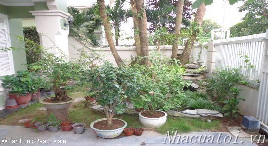 Cho thuê biệt thự đủ đồ tại T1 Ciputra Hà Nội.