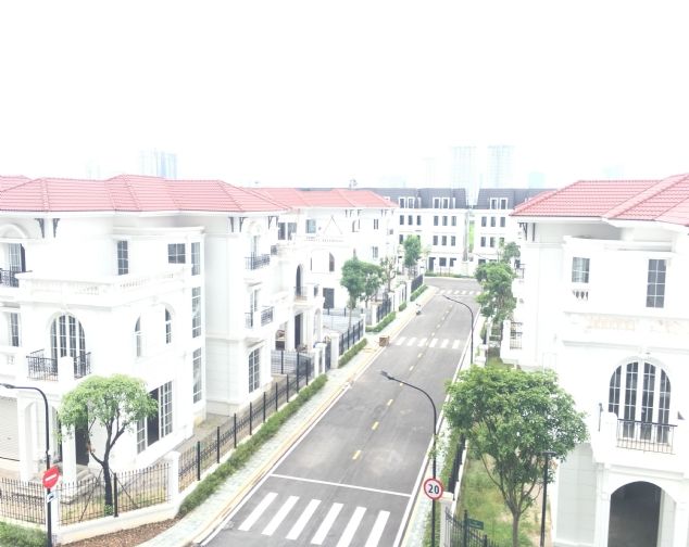 Cho thuê biệt thự Embassy Garden Bắc Từ Liêm, căn góc 237m2