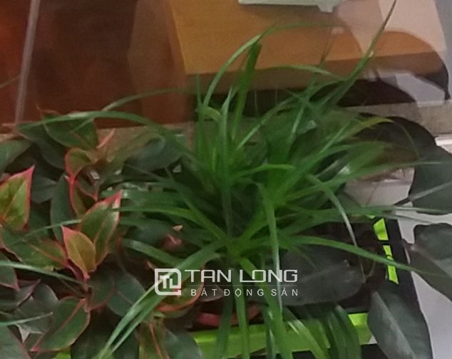 Cho thuê căn hộ phố Huế, Quận Hai Bà Trưng, Hà Nội
