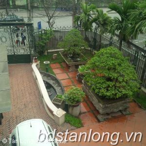Cho thuê nhà biệt thự Trần Quốc Hoàn, Cầu Giấy, Hà Nội