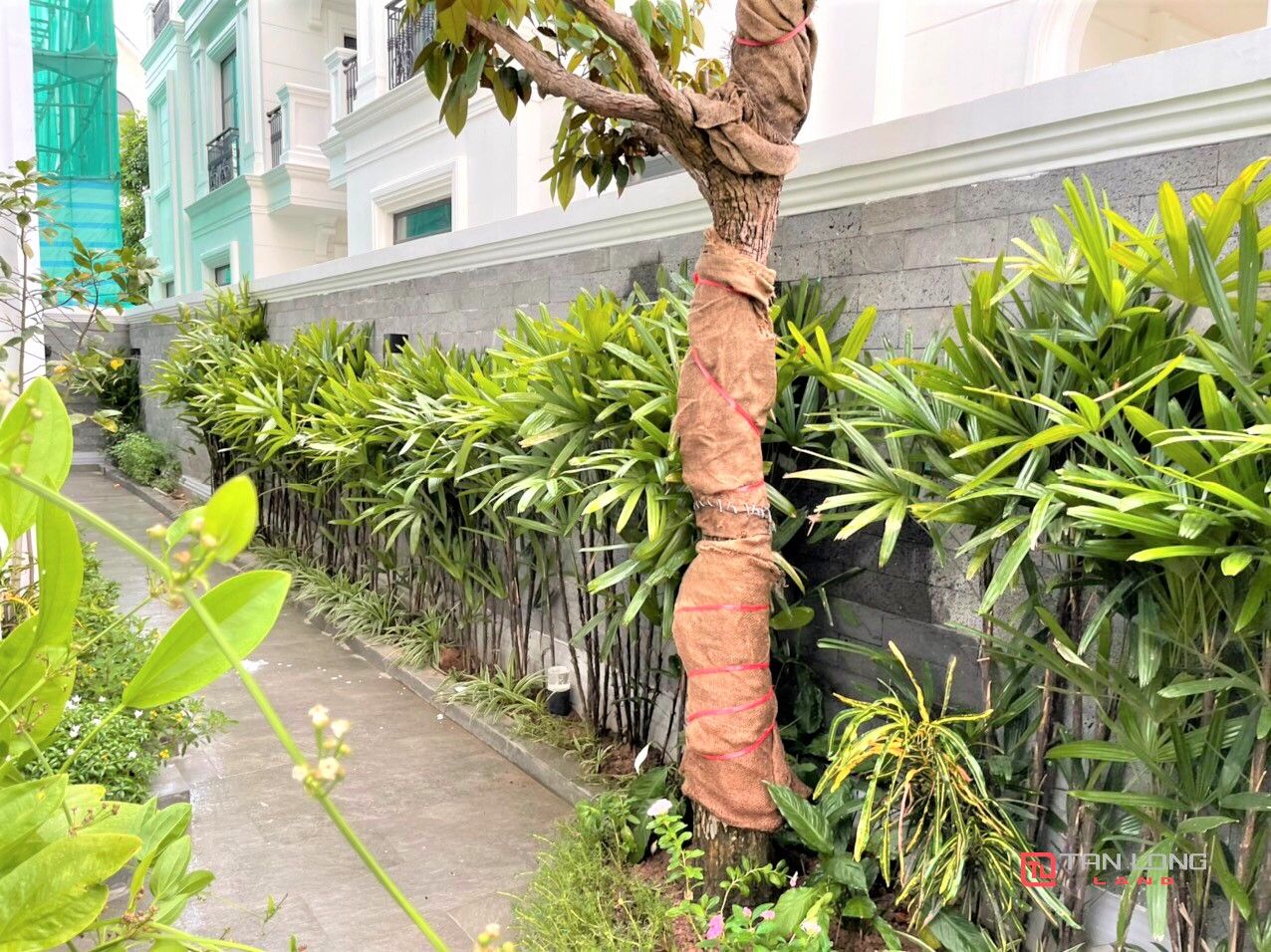 Bán nhanh biệt thự 78m2 hoàn thiện giá tốt tại SH08 Vinhomes Ocean Park Gia Lâm