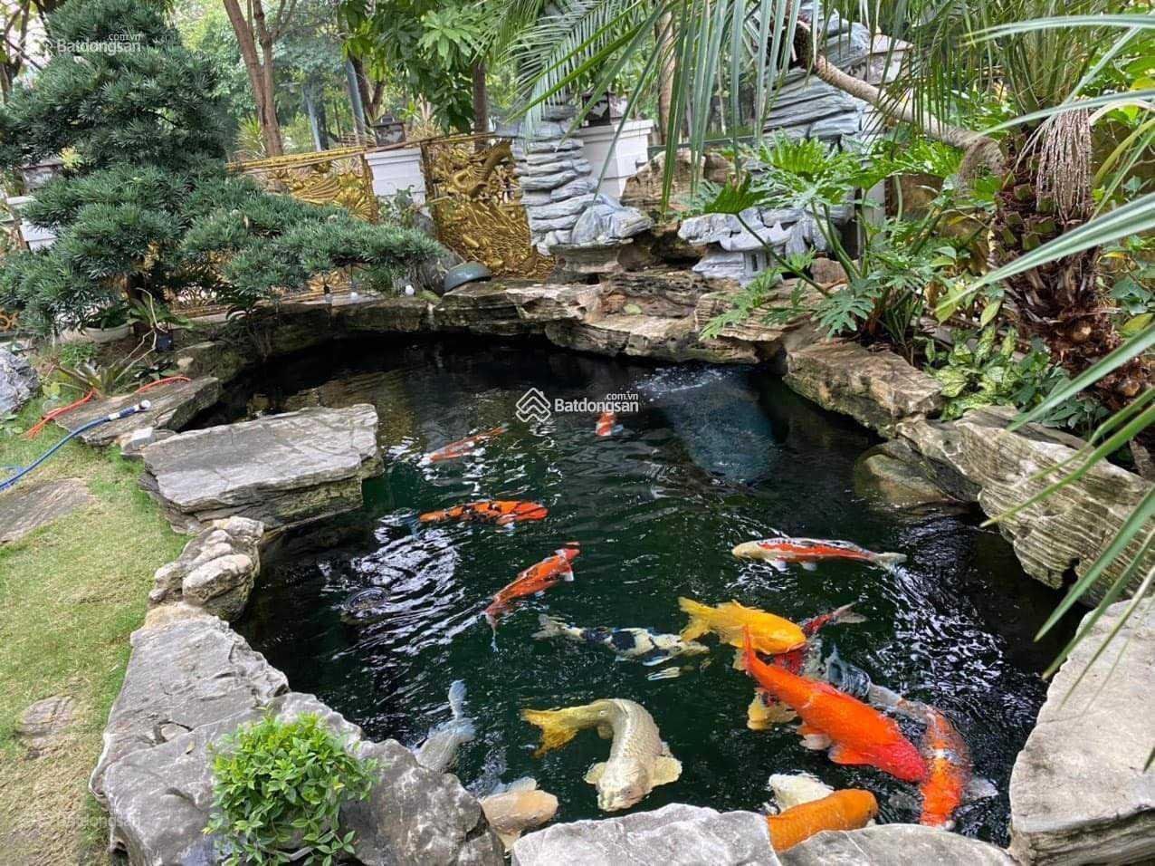 Bán biệt thự đơn lập 353m2 view vườn hoa tại KĐT Starlake Tây Hồ Tây