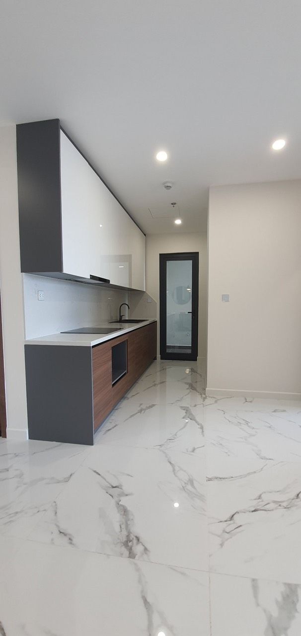 Cho thuê căn hộ 2 phòng ngủ toà R1 full đồ dự án Sunshine River Side