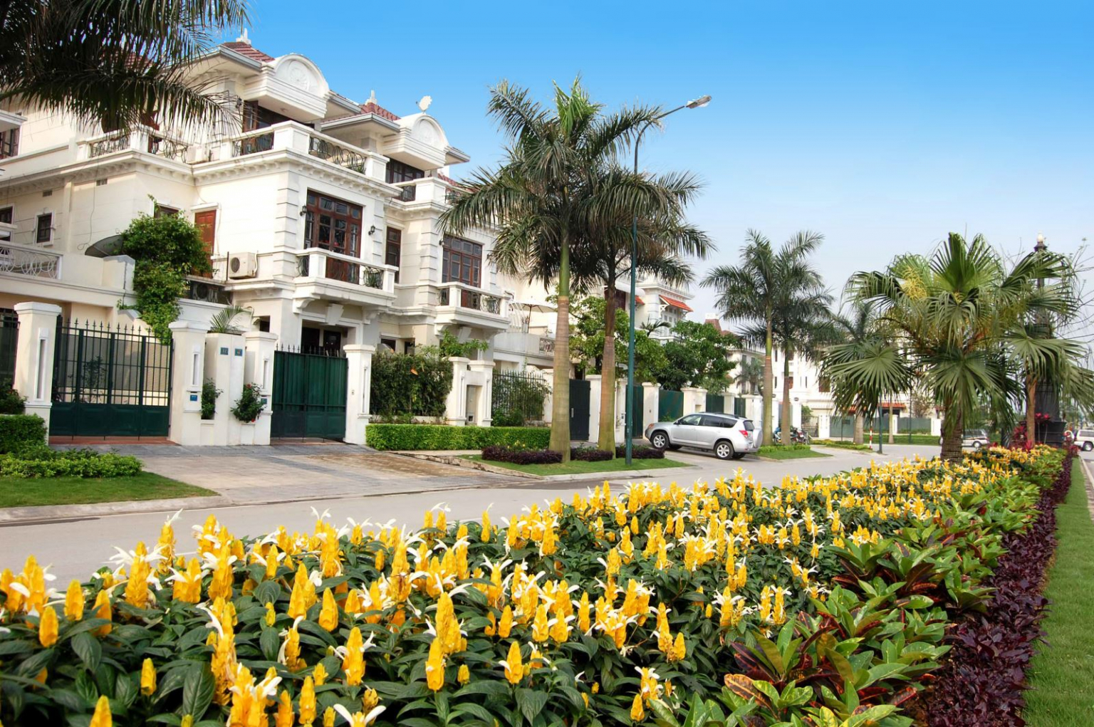 Tổng quan Cho thuê biệt thự Ciputra