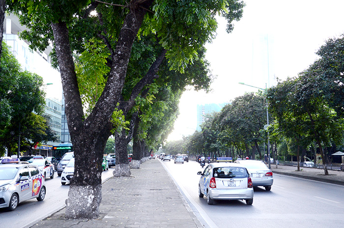 Mua bán Đất Ba Đình Hà Nội giá tốt