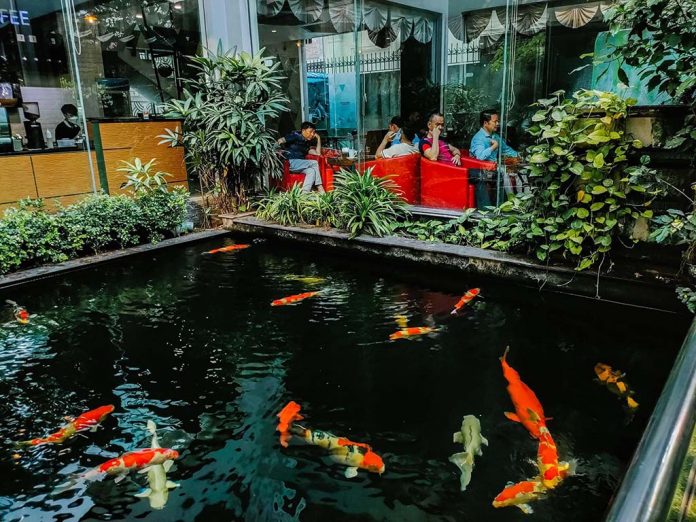 Ăn gì tại Vinhomes Sky Park Bắc Giang 5